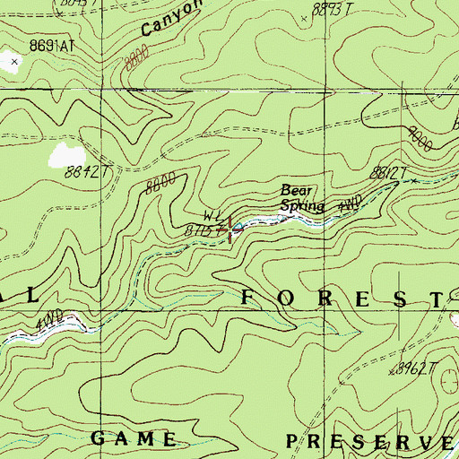 Topographic Map of Bear Spring, AZ