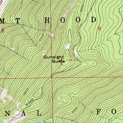 Topographic Map of Gunsight Butte, OR