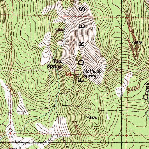 Topographic Map of Halfway Spring, OR
