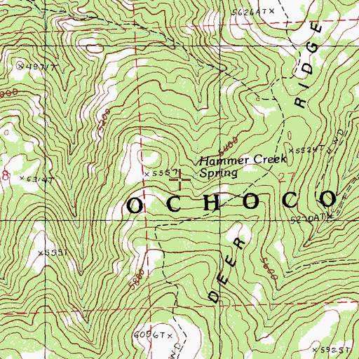 Topographic Map of Hammer Creek Spring, OR