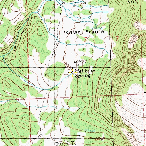 Topographic Map of Hellbore Spring, OR