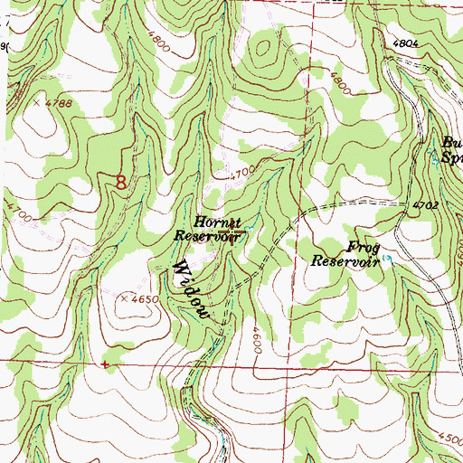 Topographic Map of Hornet Reservoir, OR