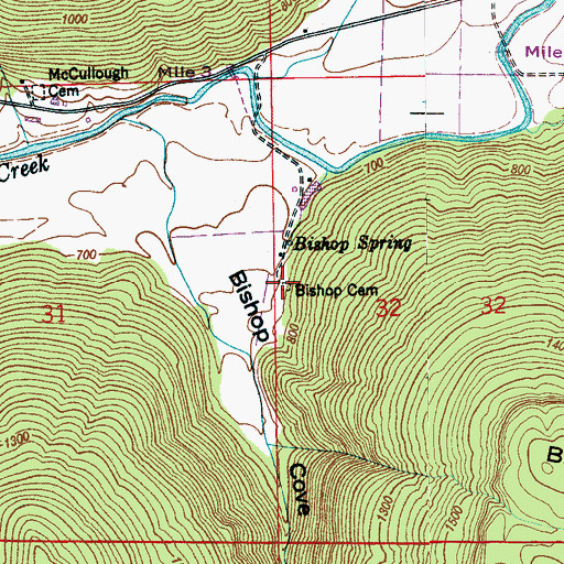 Topographic Map of Bishop Cemetery, AL