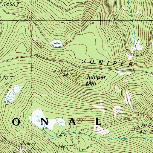 Topographic Map of Juniper Mountain, OR