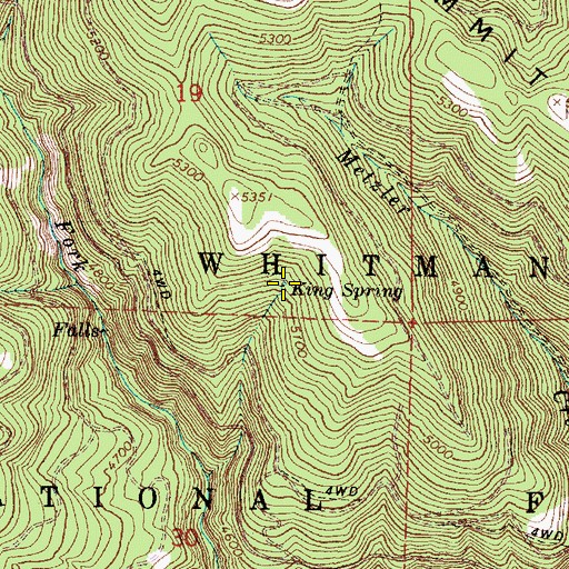 Topographic Map of King Spring, OR