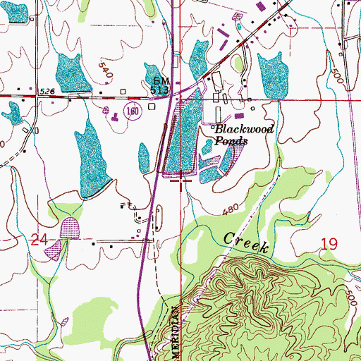 Topographic Map of Blackwood Ponds, AL