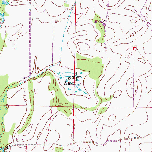 Topographic Map of Blair Swamp, AL
