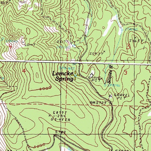 Topographic Map of Lemcke Spring, OR