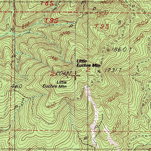 Topographic Map of Little Euchre Mountain, OR