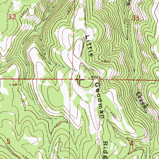 Topographic Map of Little Goodman Ridge, OR