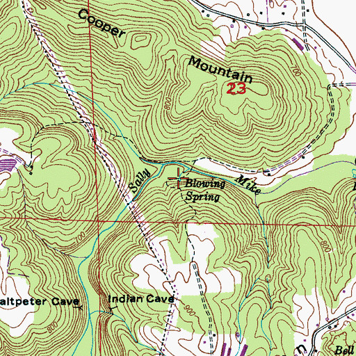 Topographic Map of Blowing Spring, AL