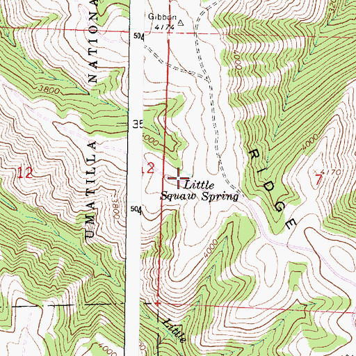 Topographic Map of Little Isqulktpe Spring, OR