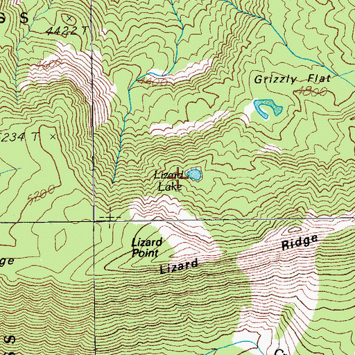 Topographic Map of Lizard Lake, OR