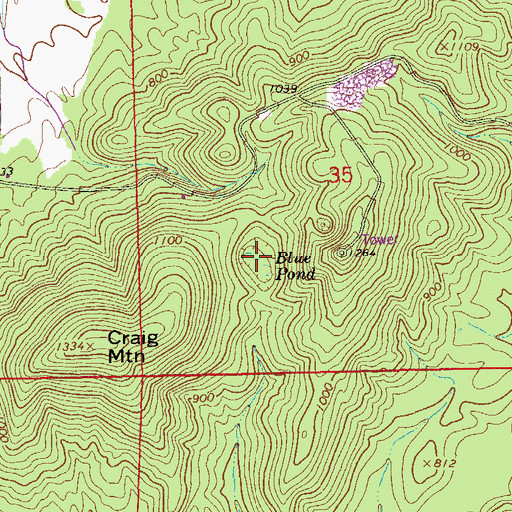 Topographic Map of Blue Pond, AL