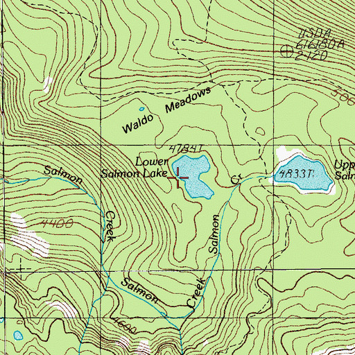 Topographic Map of Lower Salmon Lake, OR
