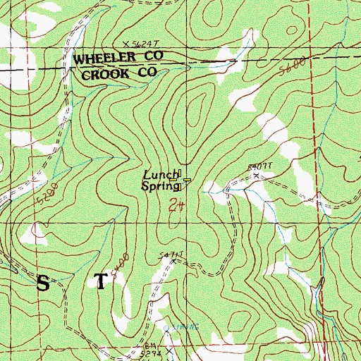 Topographic Map of Lunch Spring, OR