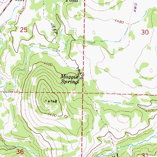 Topographic Map of Maggie Spring, OR
