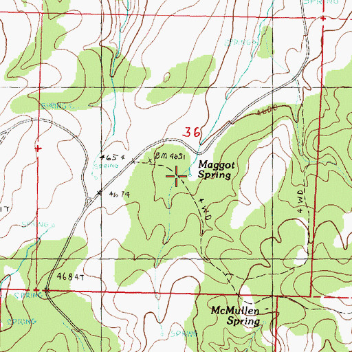 Topographic Map of Maggot Spring, OR