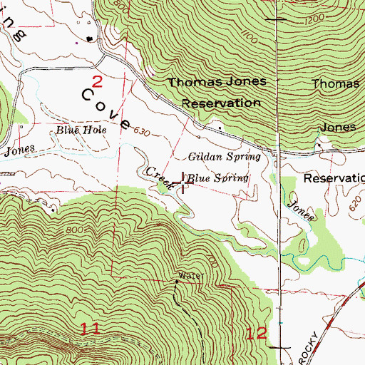Topographic Map of Blue Spring, AL