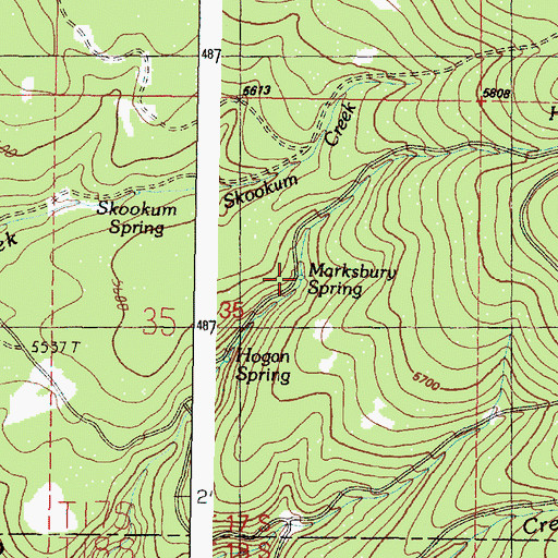 Topographic Map of Marksbury Spring, OR
