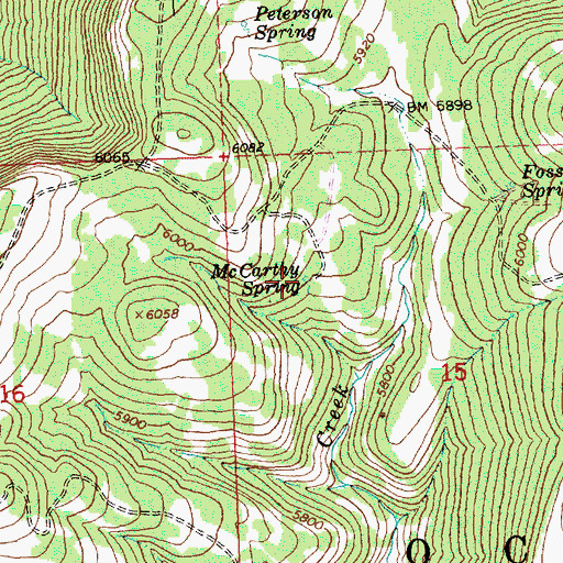 Topographic Map of McCarthy Spring, OR