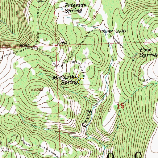 Topographic Map of McCarthy Spring, OR