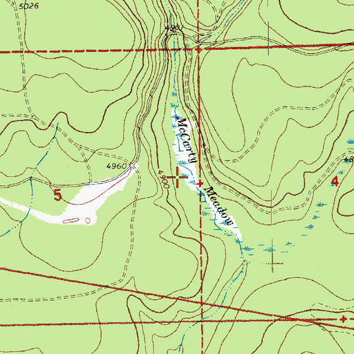 Topographic Map of McCarty Meadow, OR