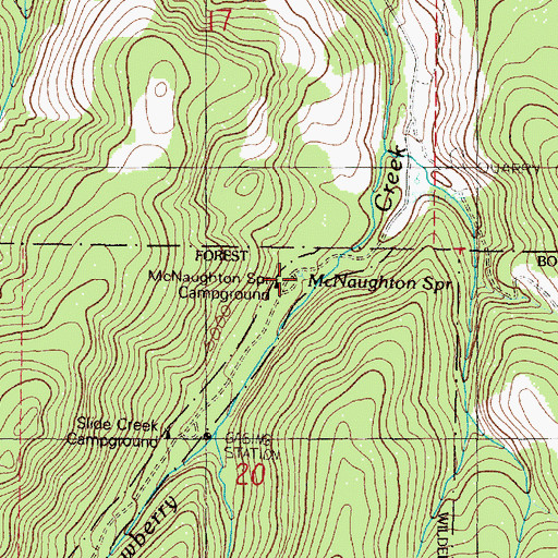 Topographic Map of McNaughton Spring, OR