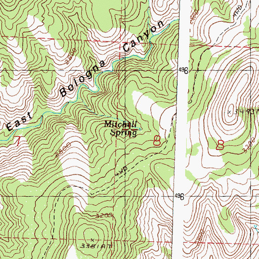 Topographic Map of Mitchell Spring, OR