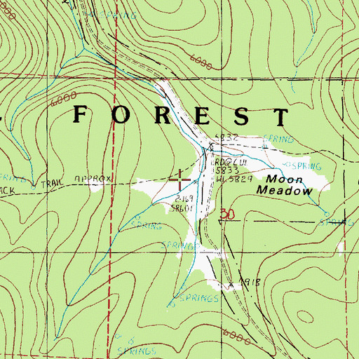 Topographic Map of Moon Meadow, OR