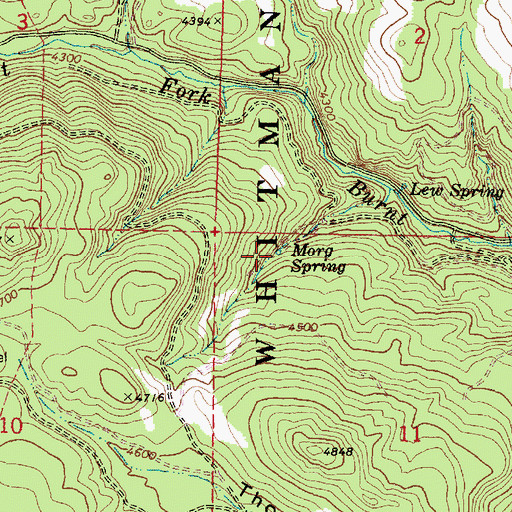 Topographic Map of Morg Spring, OR