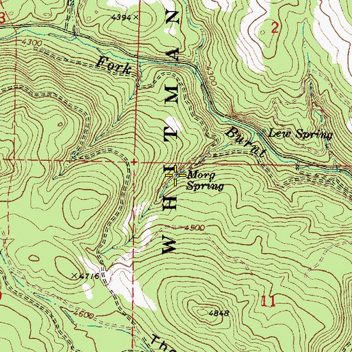 Topographic Map of Morg Spring, OR