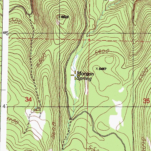 Topographic Map of Morgan Spring, OR