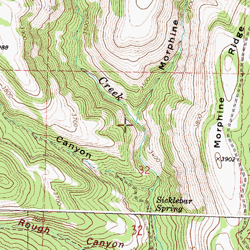 Topographic Map of Morphine Canyon, OR