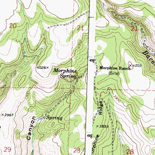 Topographic Map of Morphine Spring, OR
