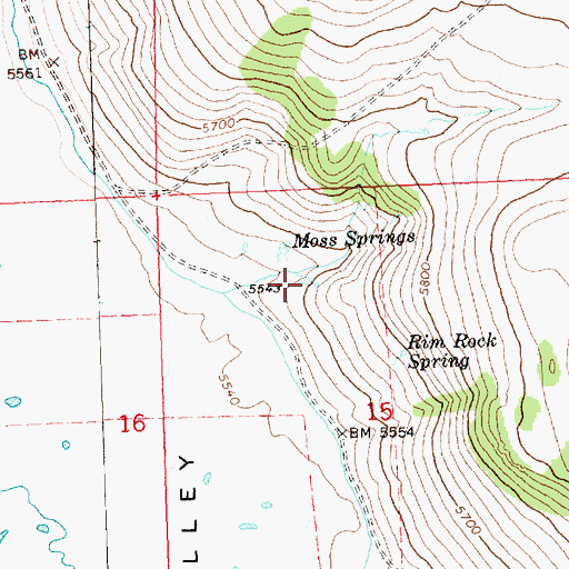 Topographic Map of Moss Springs, OR