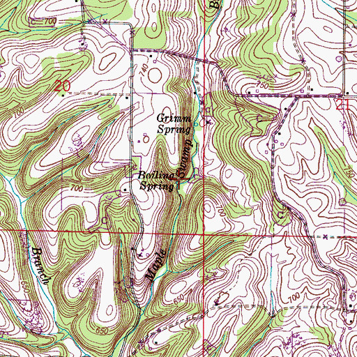 Topographic Map of Boiling Spring, AL