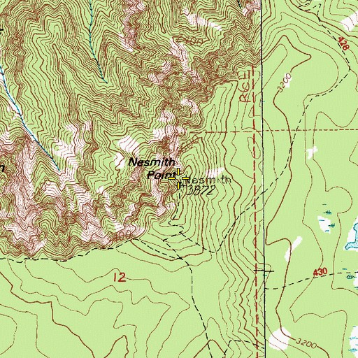 Topographic Map of Nesmith Point, OR