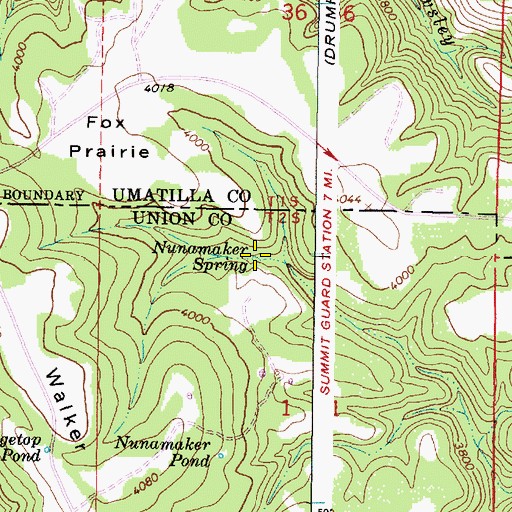 Topographic Map of Nunamaker Spring, OR