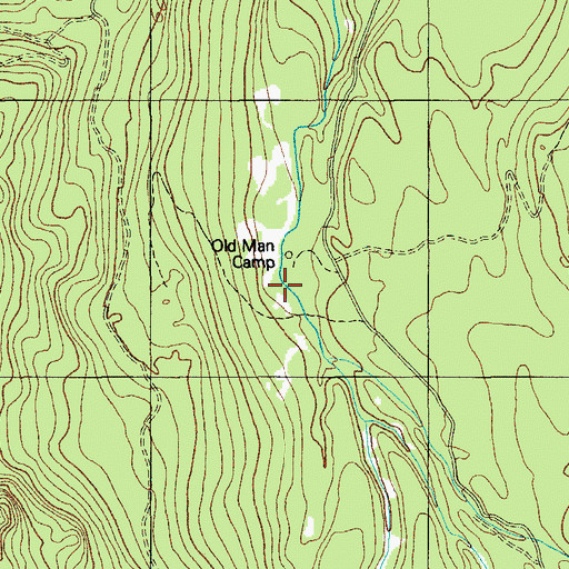 Topographic Map of Old Man Camp, OR
