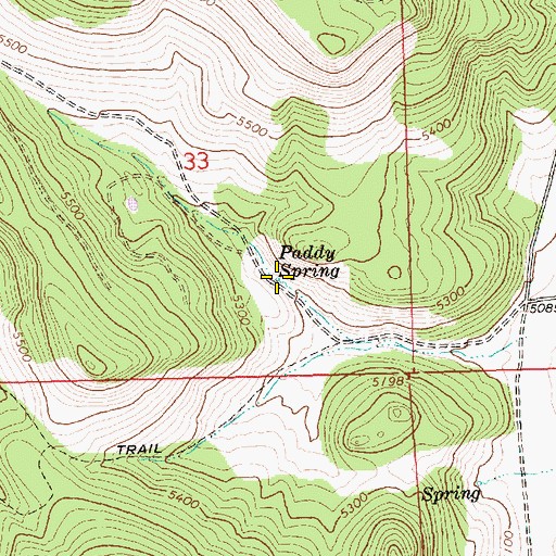 Topographic Map of Paddy Spring, OR