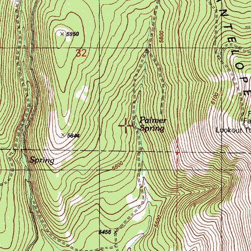 Topographic Map of Palmer Spring, OR