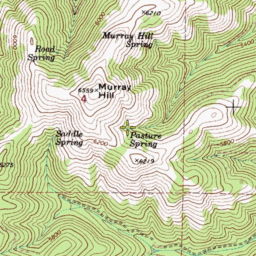 Topographic Map of Pasture Spring, OR