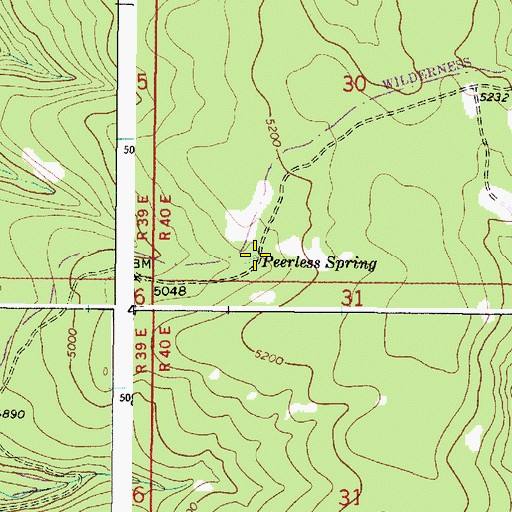 Topographic Map of Peerless Spring, OR