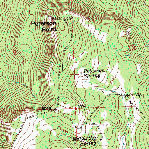 Topographic Map of Peterson Spring, OR