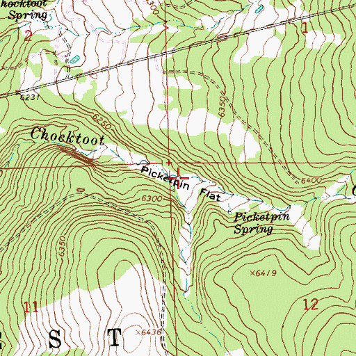 Topographic Map of Picketpin Flat, OR