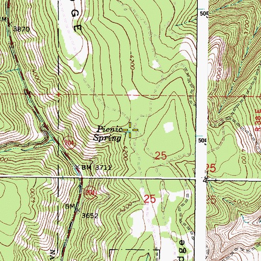 Topographic Map of Picnic Spring, OR