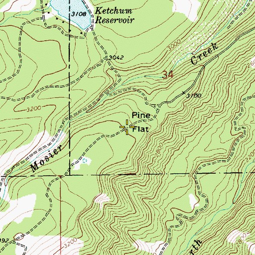 Topographic Map of Pine Flat, OR