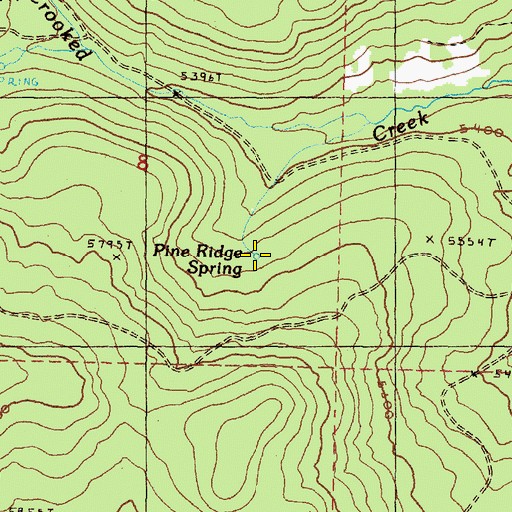 Topographic Map of Pine Ridge Spring, OR