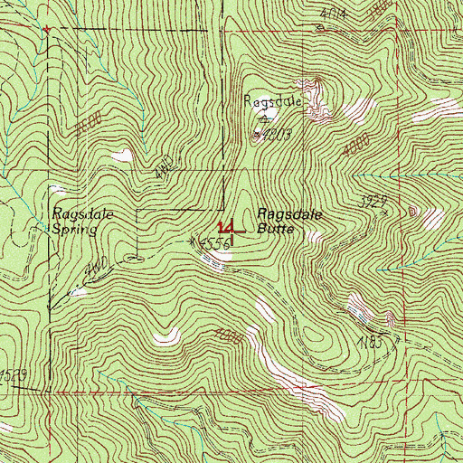 Topographic Map of Ragsdale Butte, OR